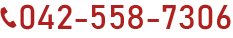 042-558-7306